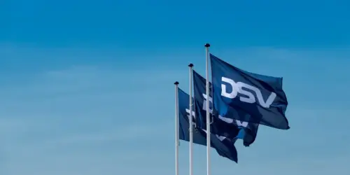 2026 DSV Flags